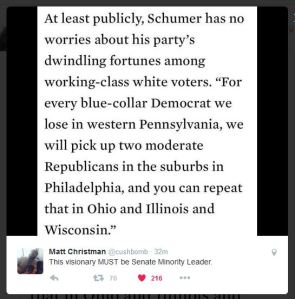 schumer-quote